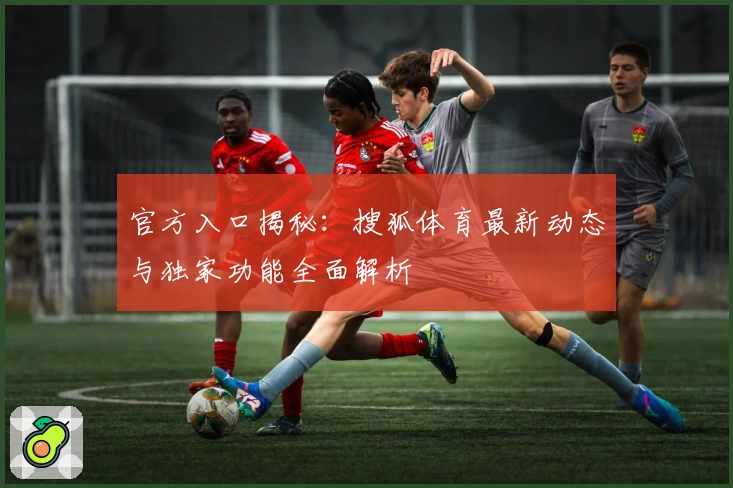 官方入口揭秘：搜狐体育最新动态与独家功能全面解析