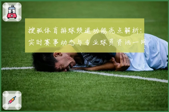 搜狐体育排球频道功能亮点解析：实时赛事动态与专业球员资讯一网打尽
