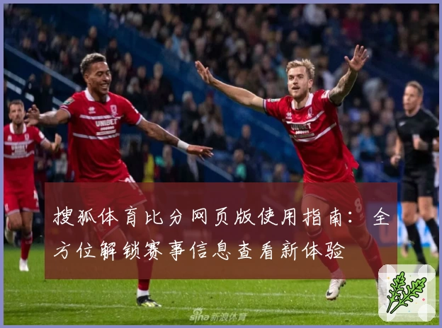 搜狐体育比分网页版使用指南：全方位解锁赛事信息查看新体验
