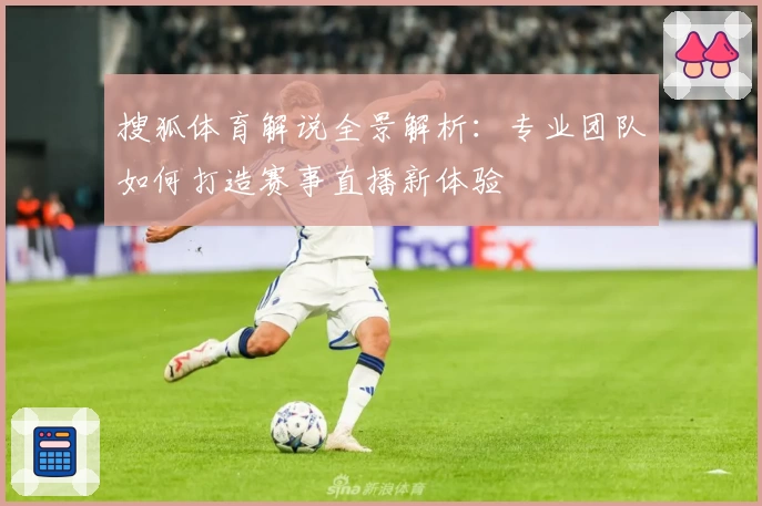 搜狐体育解说全景解析：专业团队如何打造赛事直播新体验