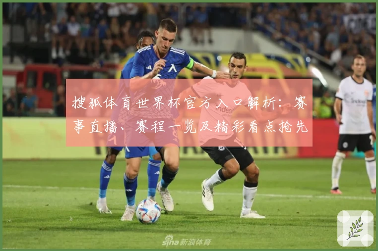 搜狐体育世界杯官方入口解析:赛事直播、赛程一览及精彩看点抢先了解