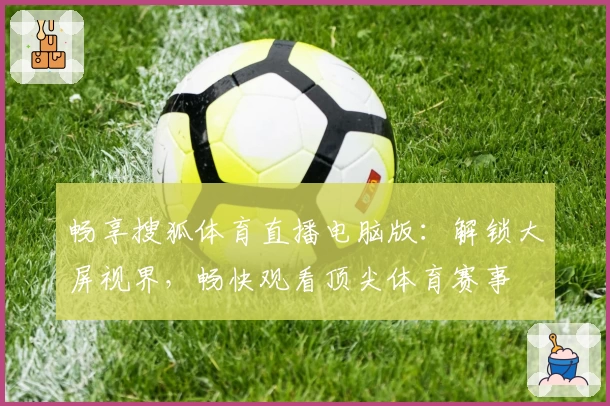 畅享搜狐体育直播电脑版：解锁大屏视界，畅快观看顶尖体育赛事